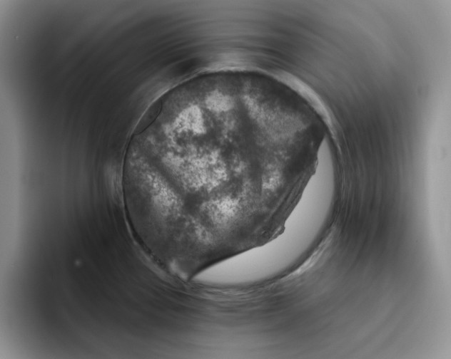 X0000091721337200709141158