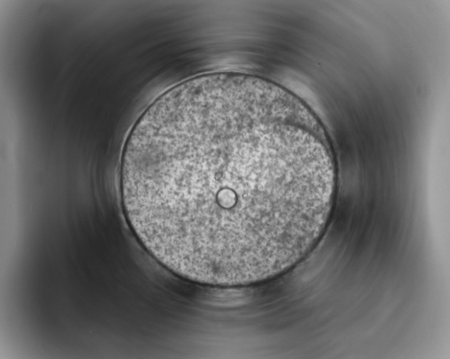 X0000091721338200709141158