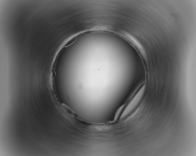 X0000091721340200709141158