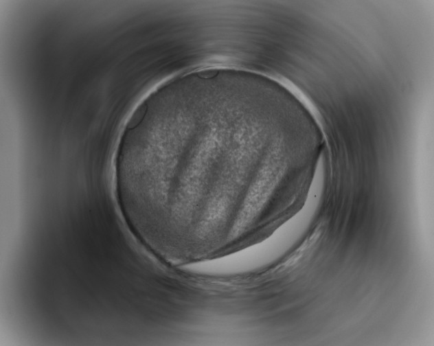 X0000091721341200709141158