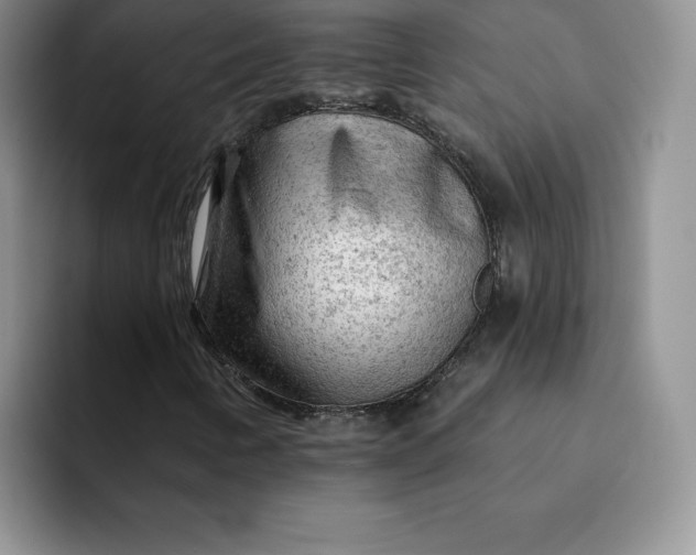 X0000091721346200709141157