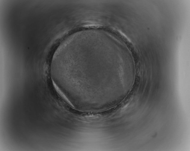 X0000091721351200709141157