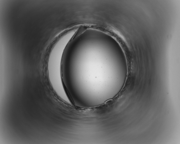 X0000091721352200709141157