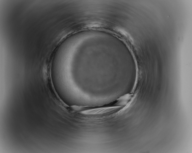 X0000091721353200709141157