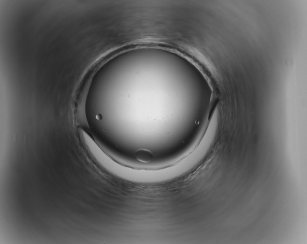 X0000091721356200709141157