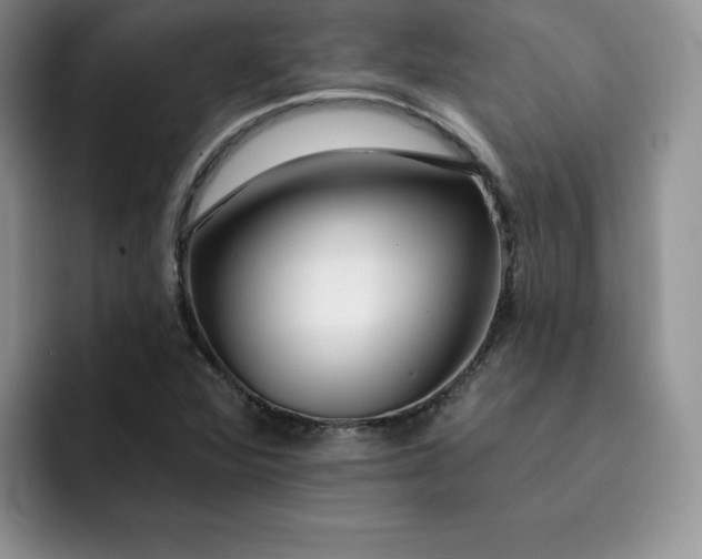 X0000091721360200709141157