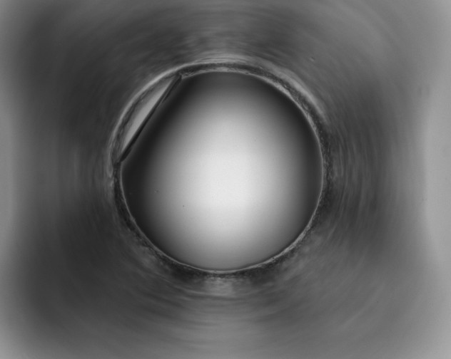 X0000091721364200709141157