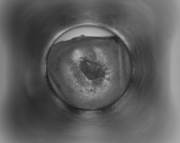 X0000091721367200709141157