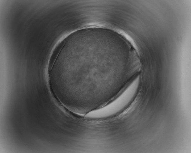 X0000091721373200709141157