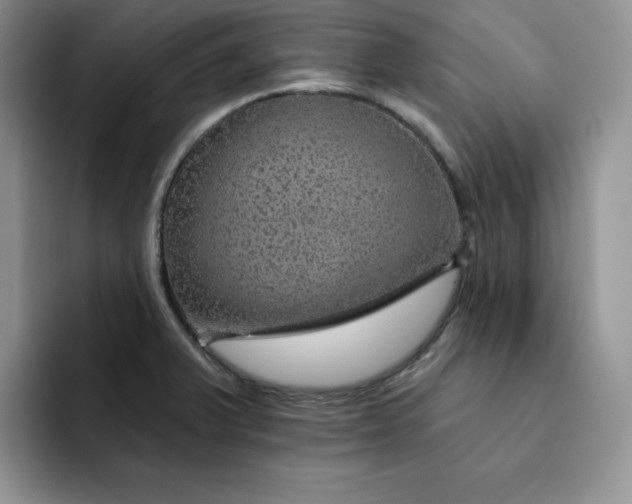 X0000091721375200709141157