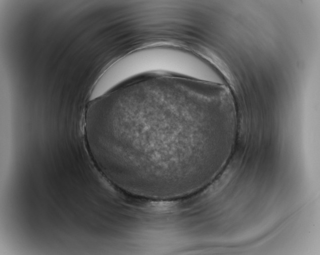 X0000091721377200709141157