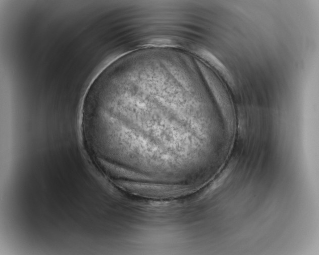 X0000091721378200709141157