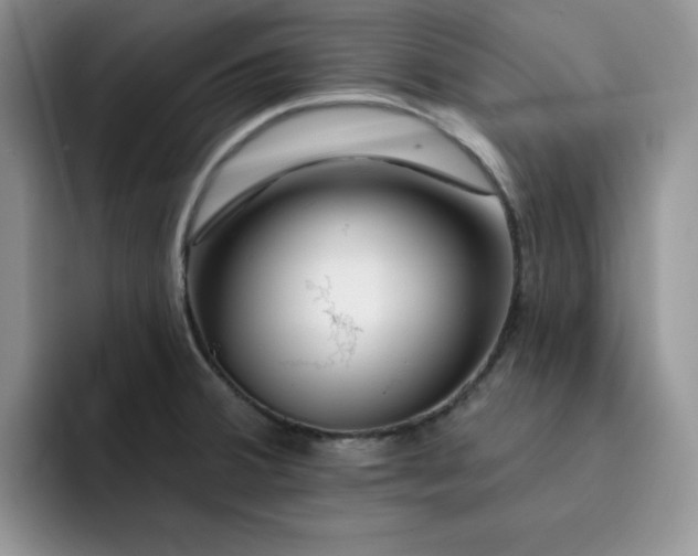 X0000091721380200709141157