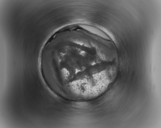 X0000091721383200709141157