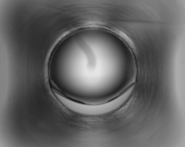 X0000091721384200709141157