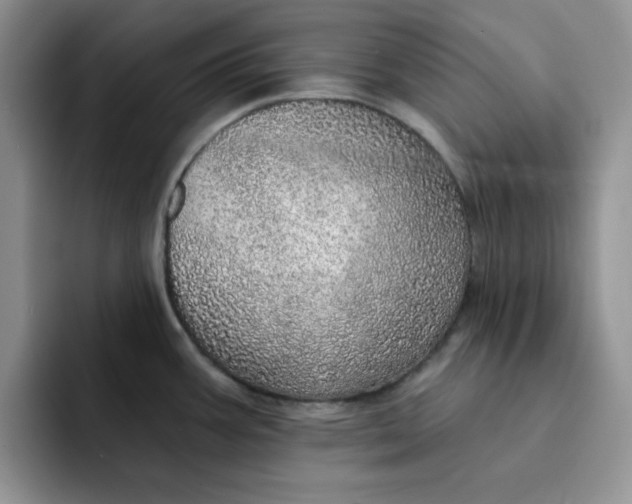 X0000091721387200709141157