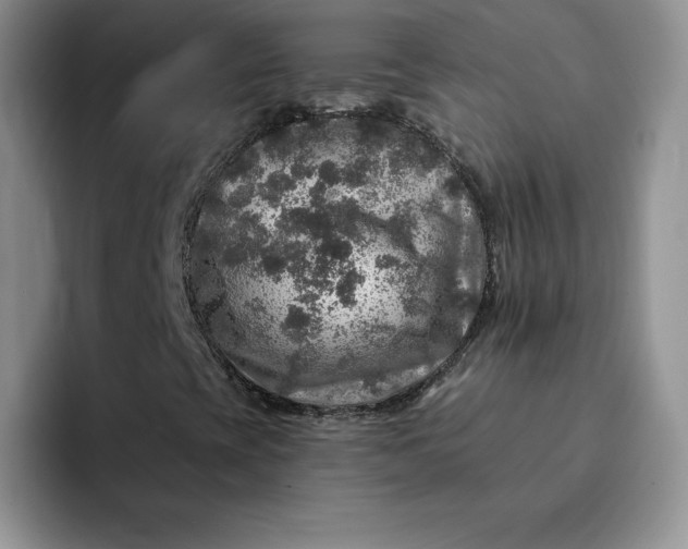 X0000091721393200709141156