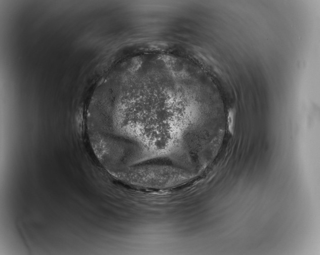 X0000091721395200709141156