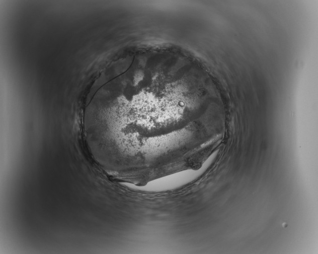 X0000091721397200709141156