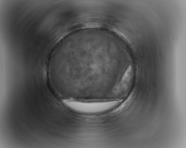 X0000091721401200709141156