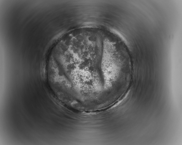 X0000091721403200709141156