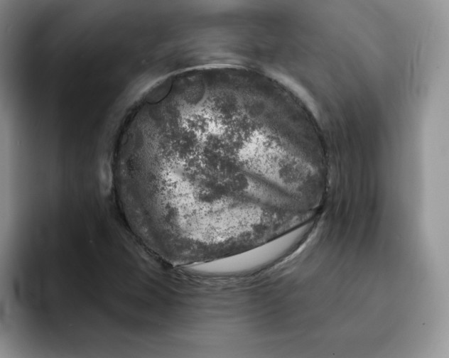 X0000091721407200709141156