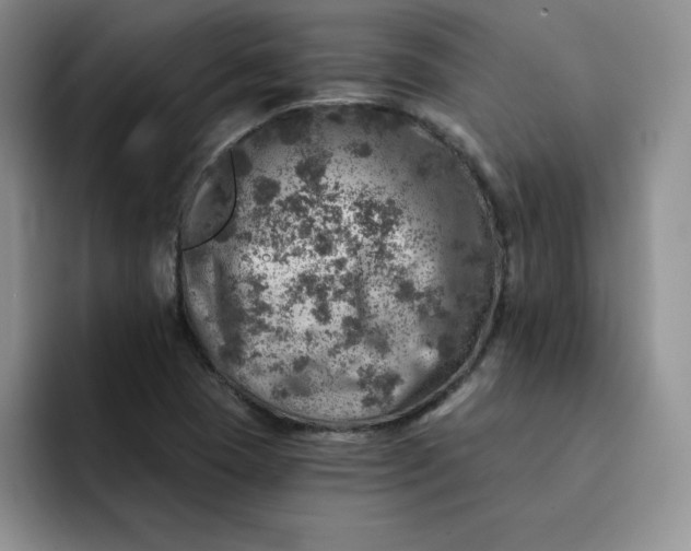 X0000091721409200709141156