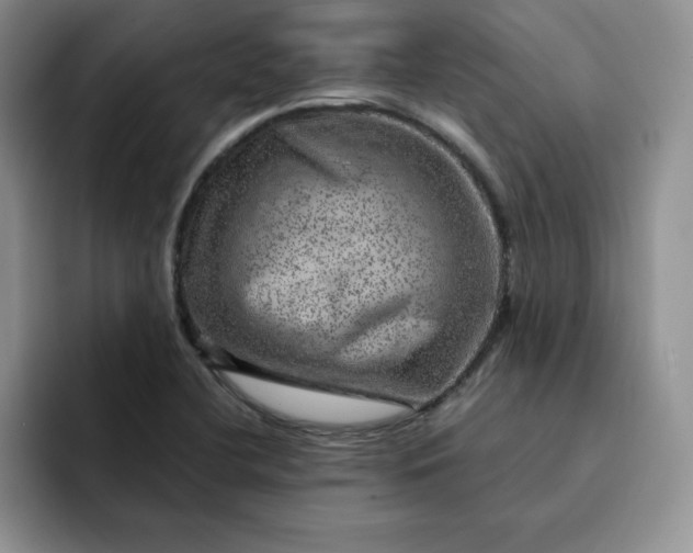 X0000091721412200709141156