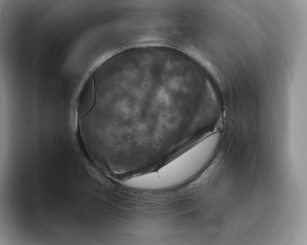 X0000091721413200709141156