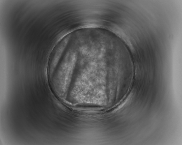 X0000091721417200709141156