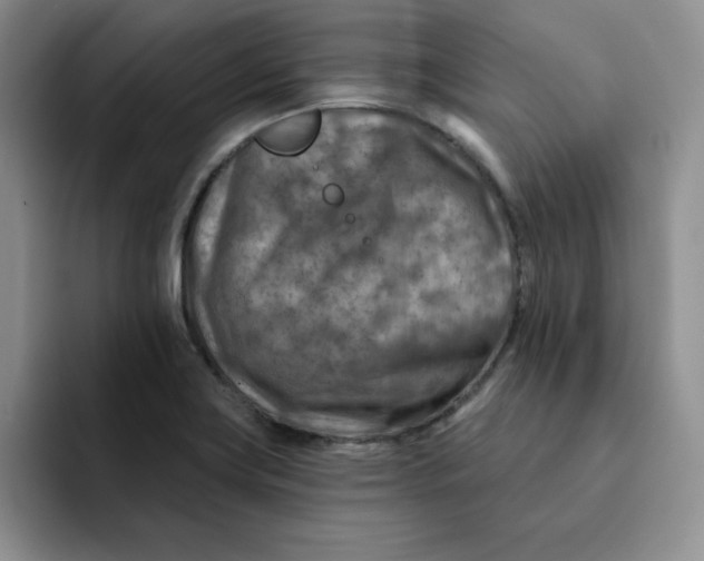 X0000091721419200709141156