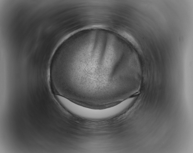 X0000091721420200709141156