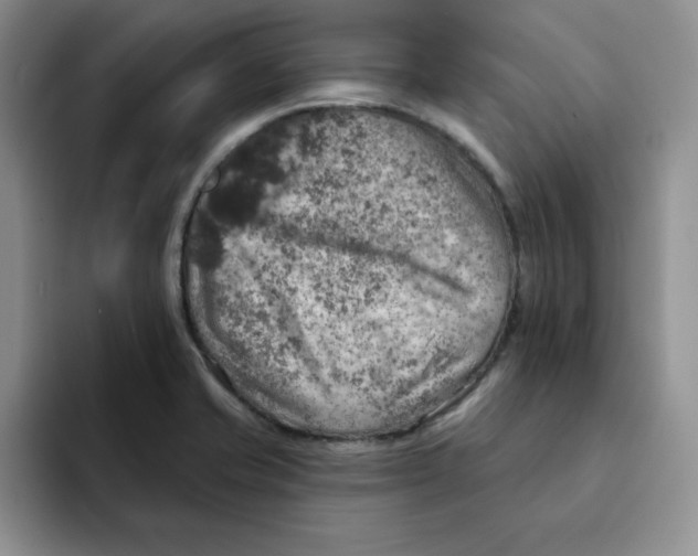 X0000091721421200709141156