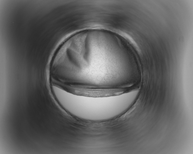 X0000091721424200709141156