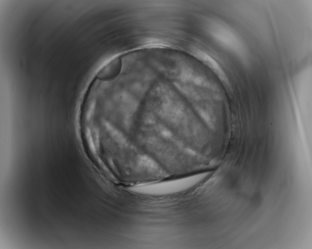 X0000091721427200709141156