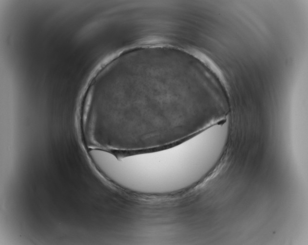 X0000091721429200709141156