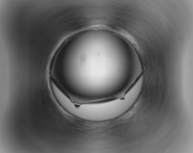 X0000091721430200709141156