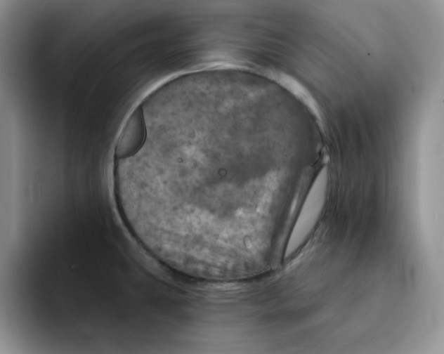 X0000091721431200709141156