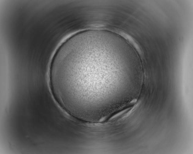 X0000091721432200709141156