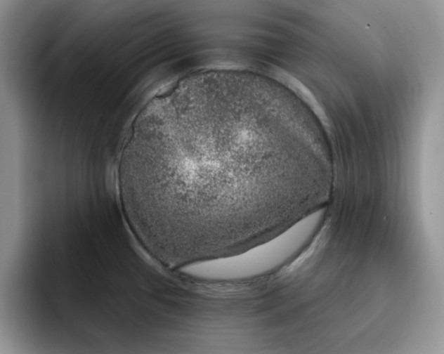 X0000091721433200709141156