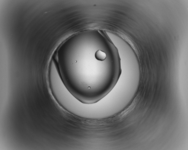 X0000091721434200709141156