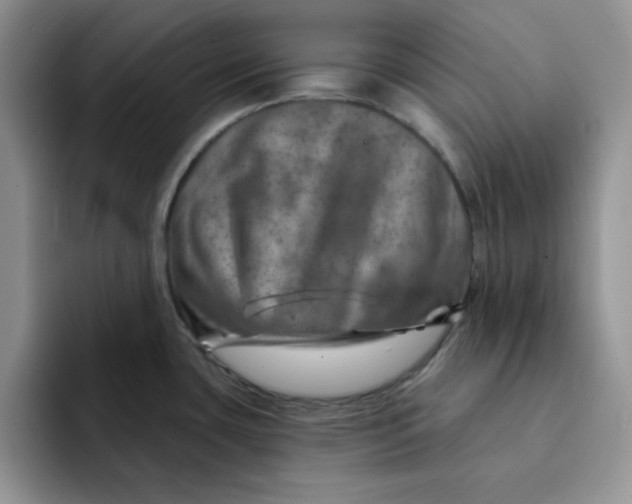 X0000091721435200709141156