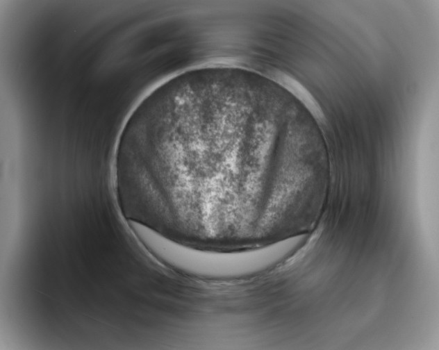 X0000091721436200709141156