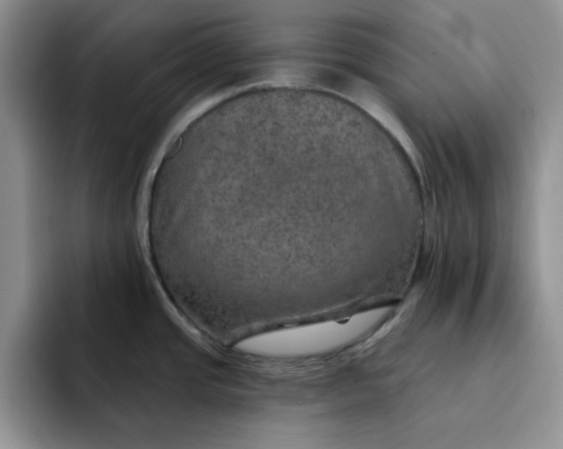 X0000091721437200709141156