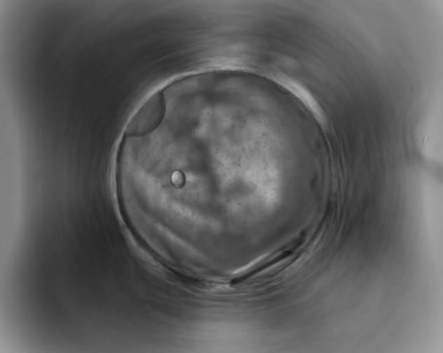 X0000091721439200709141156