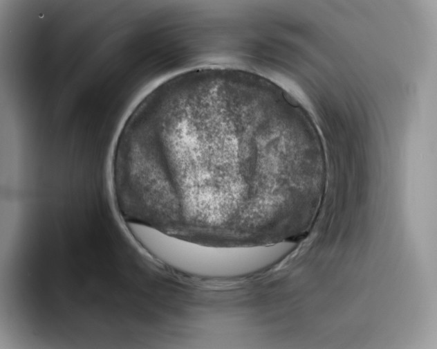 X0000091721440200709141156