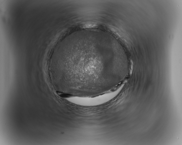 X0000091721441200709141156