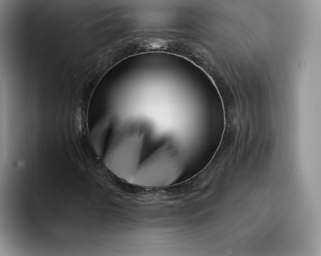 X0000091721442200709141156