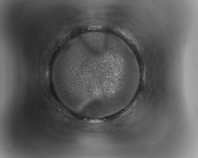 X0000091721445200709141156