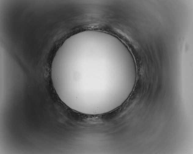 X0000091721447200709141156